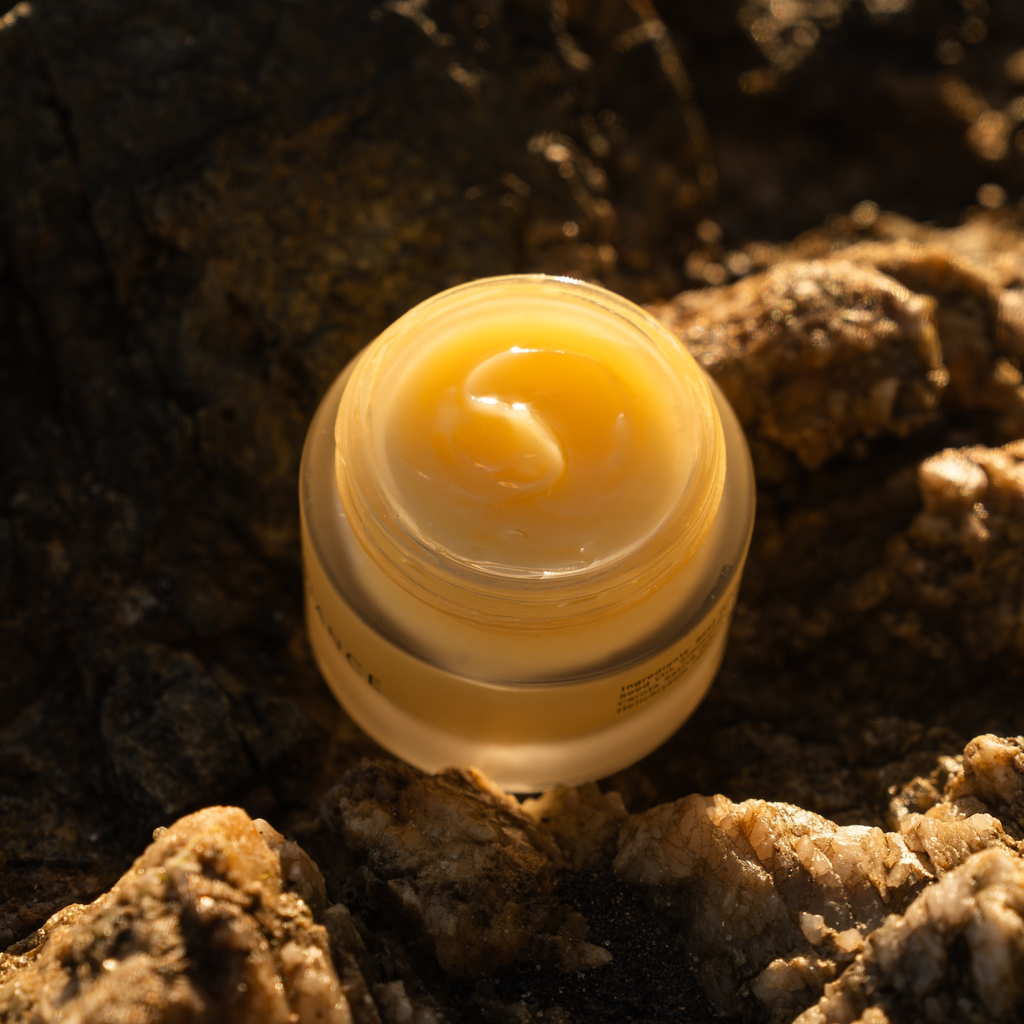 Eternal Radiance Tallow Moisturizer | Natural Retinol Alternative